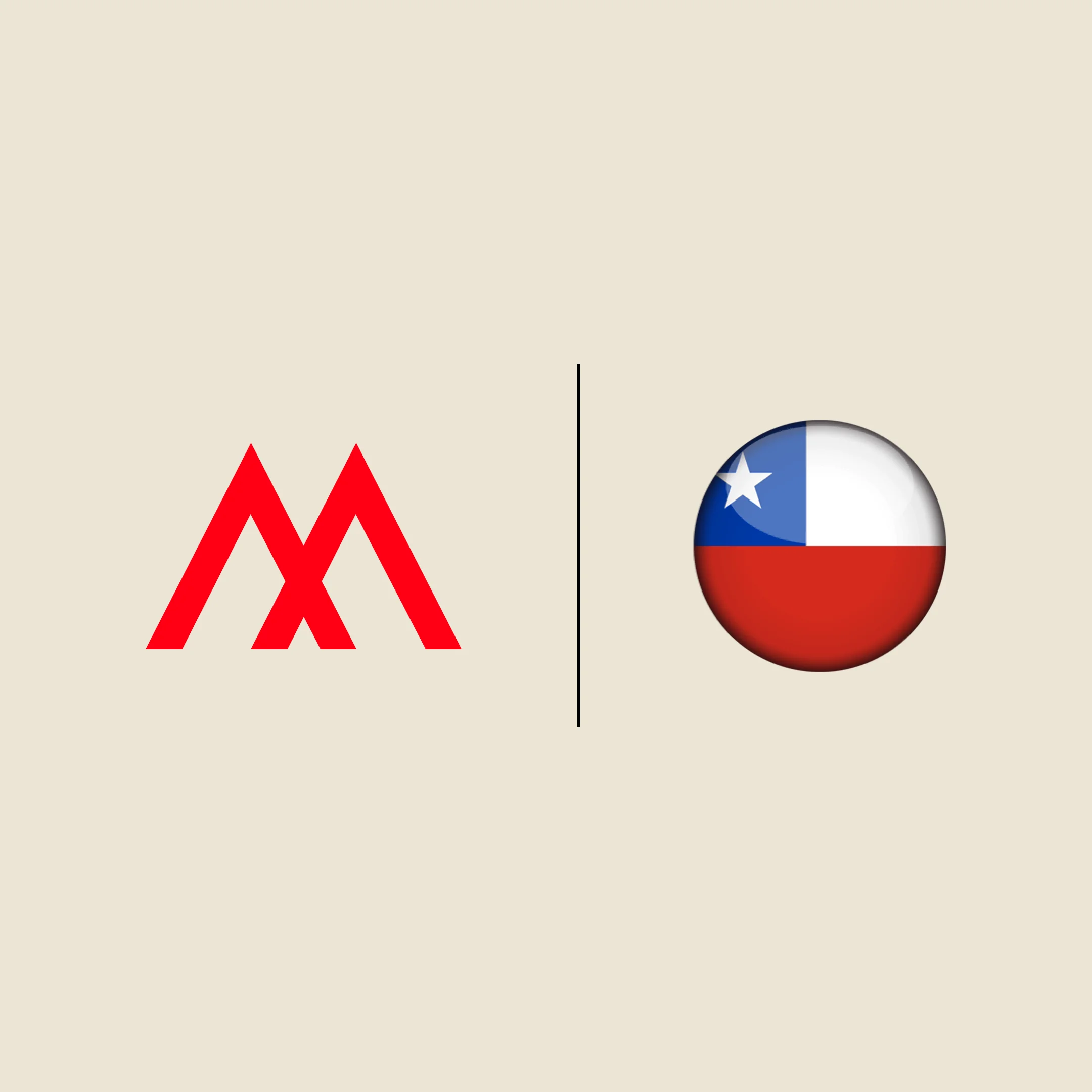 MetaficXChile: Innovating Digital and Artificial Intelligence Collaboratively with the Chilean Government