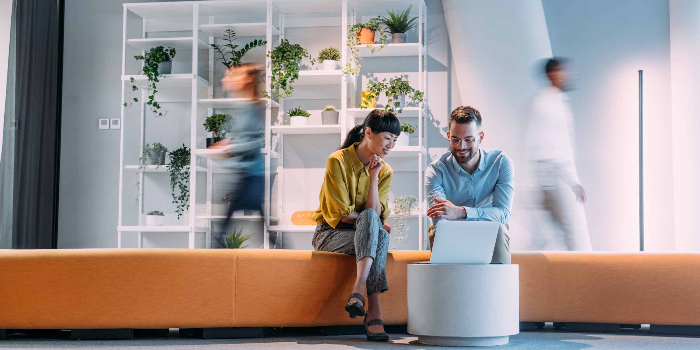 Free consultation with low-code development team